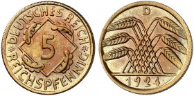 KURS - UND GEDENKMÜNZEN. J. 316, EPA 22 
5 Reichspfennig 1924 D. PP