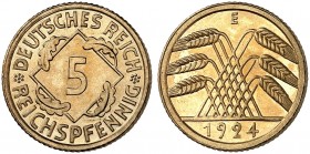 KURS - UND GEDENKMÜNZEN. J. 316, EPA 22 
5 Reichspfennig 1924 E. PP