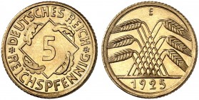 KURS - UND GEDENKMÜNZEN. J. 316, EPA 22 
5 Reichspfennig 1925 E. R ! PP