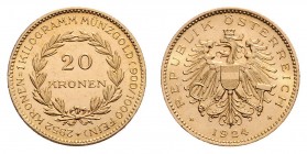20 Zollkronen, 1924
1. Republik 1918 - 1933 - 1938. Wien. 6,78g
Her. 4
f.stgl