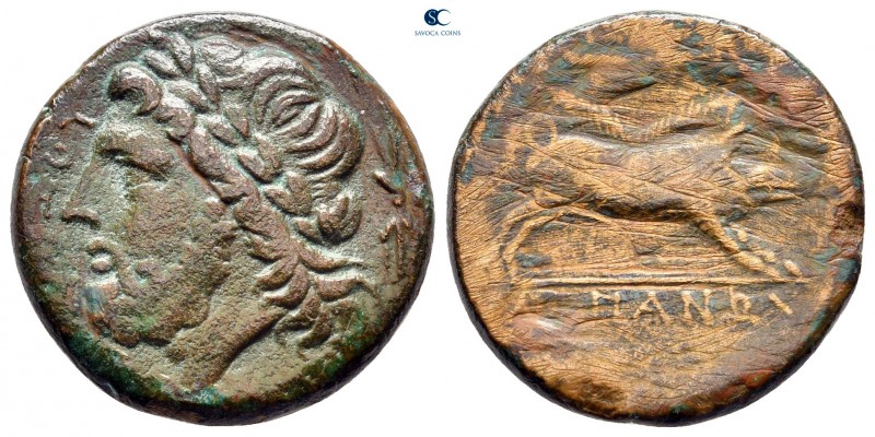 Apulia. Arpi circa 325-275 BC. 
Bronze Æ

22 mm, 6,63 g



nearly very fi...