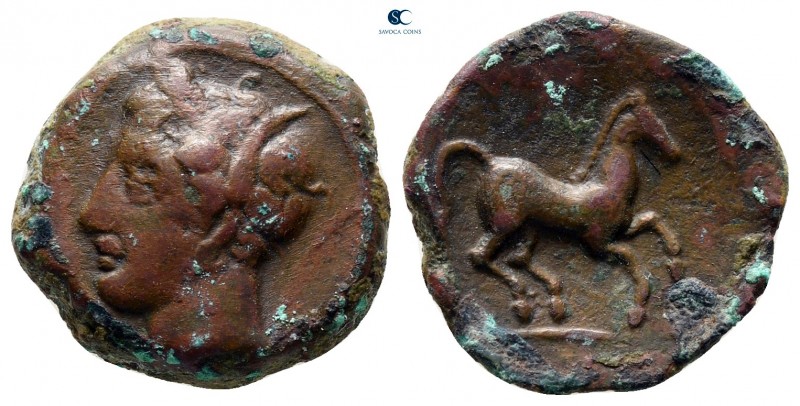 Sicily. Carthaginian Domain circa 375-350 BC. 
Bronze Æ

14 mm, 3,53 g


...