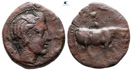 Sicily. Gela circa 420-405 BC. Tetras Æ