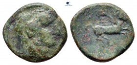Sicily. Kephaloidion circa 305-280 BC. Onkia Æ