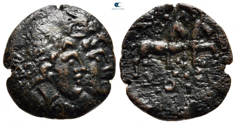 Moesia. Tomis circa 200-100 BC. 
Bronze Æ

20 mm, 4,82 g



very fine