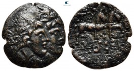 Moesia. Tomis circa 200-100 BC. Bronze Æ