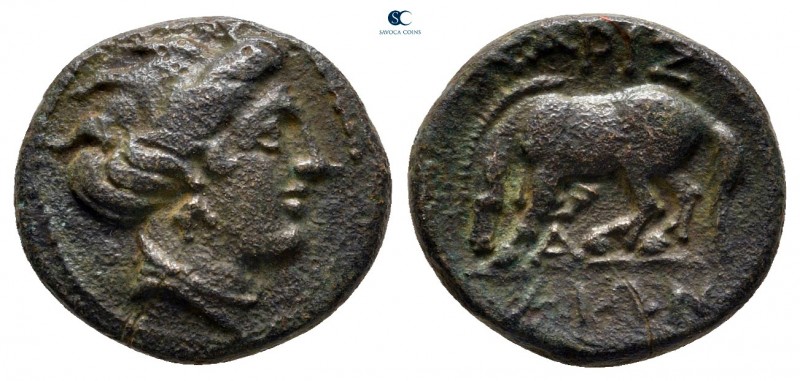 Thessaly. Larissa circa 375-350 BC. 
Chalkous Æ

13 mm, 2,17 g



very fi...