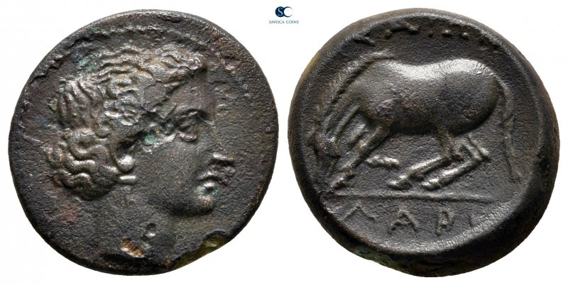 Thessaly. Larissa circa 344-337 BC. 
Dichalkon Æ

18 mm, 3,90 g



very f...