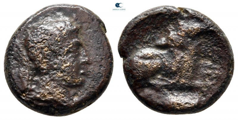 Akarnania. Argos Amphilochicon circa 330-300 BC. 
Bronze Æ

16 mm, 3,71 g

...