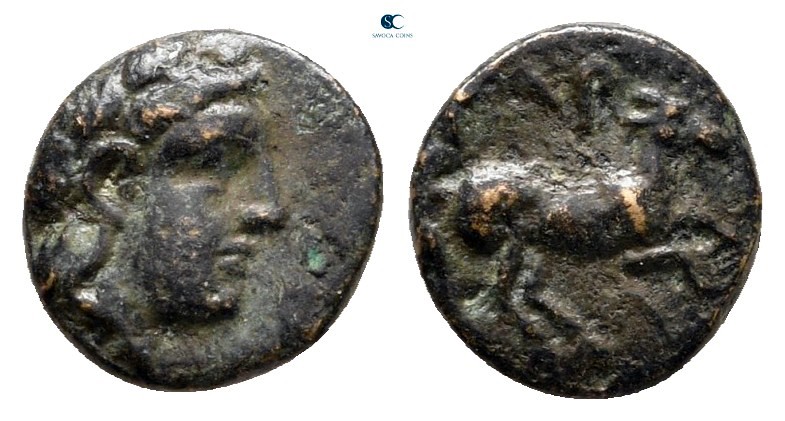 Troas. Gargara circa 400-284 BC. 
Bronze Æ

8 mm, 0,57 g



very fine