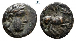 Troas. Gargara circa 400-284 BC. Bronze Æ