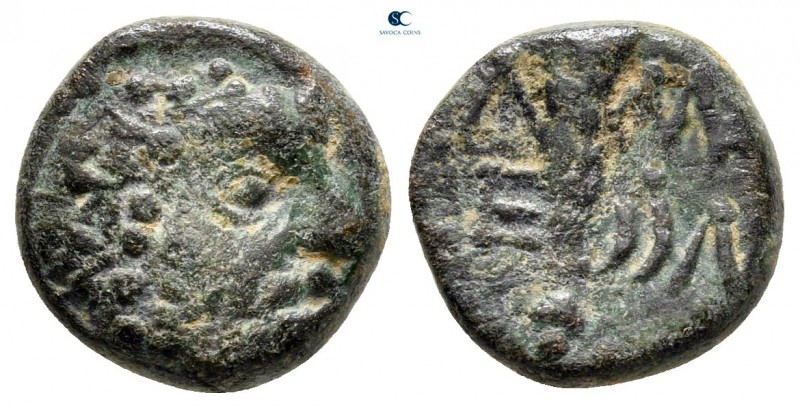 Pisidia. Amblada circa 100-50 BC. 
Bronze Æ

12 mm, 2,81 g



very fine