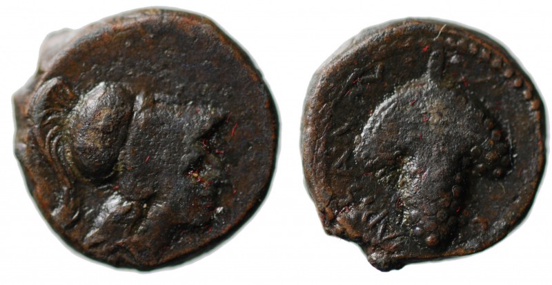 Apulia. Arpi (III sec. A.C.). Bronzo AE gr. 3,50 mm 14,6. D/Atena; R/grappolo d'...