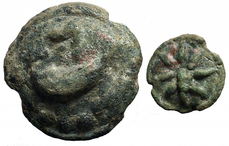 Apulia. Luceria (217-212 a.C.). Cast coinage. Teruncius bronzo fuso AE gr. 27,3 ...