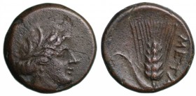 Lucania. Metaponto (IV sec. A.C.). Bronzo AE gr. 2,95 mm 14,74. D/testa di Demetra; R/spiga di grano. qBB