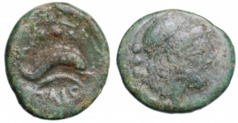 Lucania. Paestum (ca. 218-201 a.C.). Quadrante AE gr. 3,73 mm 16,9. MB