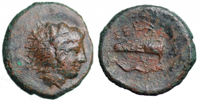 Sicilia. Selinos (ca. 415-409 a.C.). Hemilitron AE gr. 5,75 mm 19,1. Calciati 11...
