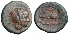 Sicilia. Selinos (ca. 415-409 a.C.). Hemilitron AE gr. 5,75 mm 19,1. Calciati 11. qBB