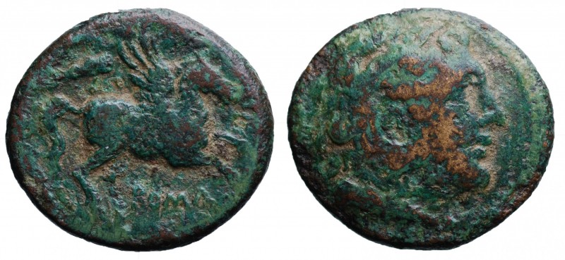Romano campane (230-226 a.C.). Doppia litra AE gr. 4,86 mm 19,2. D/Ercole; R/Peg...