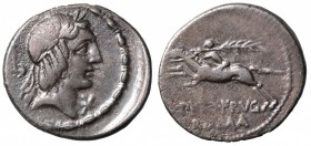 CALPURNIA - L. CALPURNIUS PISO FRUGI (90 a.C.). Roma. Denario AG gr. 3,61 mm 19,3. D/Testa Di Apollo; R/Cavaliere al galoppo. Varesi 141 var.; qBB