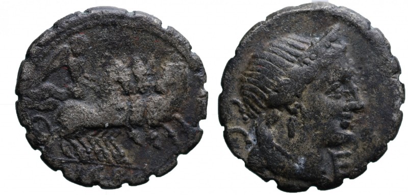 NAEVIA - C. Naevius Balbus (79 a.C.). Roma. Denario dentellato, falso coevo gr. ...