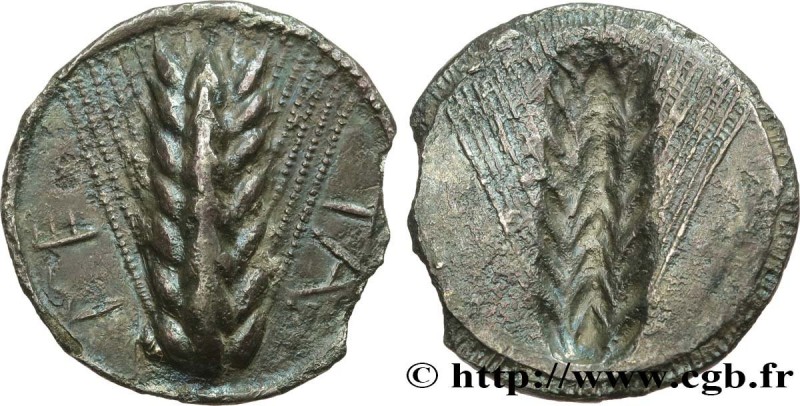 LUCANIA - METAPONTUM
Type : Nomos, statère ou tridrachme 
Date : c. 510-490 AC. ...