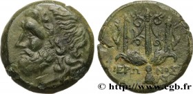 SICILY - SYRACUSE
Type : Litra 
Date : c. 240-215 AC. 
Mint name / Town : Syracuse, Sicile 
Metal : bronze 
Diameter : 19,5  mm
Orientation dies : 2  ...