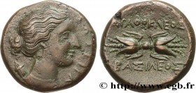 SICILY - SYRACUSE
Type : Hemilitron 
Date : c. 295-289 AC. 
Mint name / Town : Syracuse, Sicile 
Metal : copper 
Diameter : 21,5  mm
Orientation dies ...
