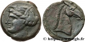 ZEUGITANA - CARTHAGE
Type : Double shekel 
Date : c. 264-241 AC. 
Mint name / Town : Sardaigne 
Metal : copper 
Diameter : 28  mm
Orientation dies : 6...