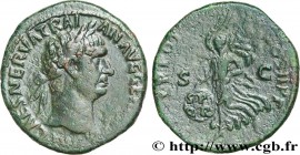 TRAJANUS
Type : As 
Date : 99 
Mint name / Town : Rome 
Metal : copper 
Diameter : 27,5  mm
Orientation dies : 6  h.
Weight : 11,65  g.
Officine : 2e ...