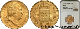 LOUIS XVIII
Type : 20 francs or Louis XVIII, tête nue 
Date : 1818 
Mint name / Town : Lille 
Quantity minted : 1.314.262 
Metal : gold 
Millesimal fi...