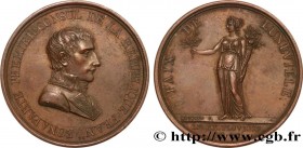 CONSULATE
Type : Médaille, Paix de Lunéville 
Date : An 9 (1800-1801) 
Metal : bronze 
Diameter : 41,5  mm
Engraver : Andrieu 
Weight : 34,35  g.
Edge...