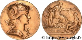 III REPUBLIC
Type : Médaille, Exposition universelle 
Date : 1889 
Mint name / Town : 75 - Paris 
Metal : bronze 
Diameter : 63  mm
Engraver : DUPUIS ...