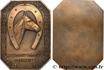 INSURANCES
Type : Plaque, Assurance hippique française 
Date : n.d. 
Metal : bronze 
Diameter : 73  mm
Weight : 98,19  g.
Edge : lisse + corne BRONZE ...