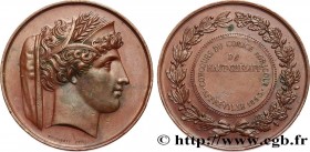 ALGERIA - THIRD REPUBLIC
Type : Médaille, Concours du comice agricole 
Date : 1885 
Mint name / Town : Algérie, Affreville 
Metal : copper 
Diameter :...