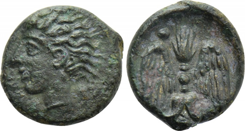 SICILY. Katane. Ae Onkia (Circa 405-402 BC). 

Obv: Head of river god Amenanos...