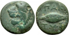 THRACE. Chersonesos. Paktye. Ae (Circa 375-325 BC).