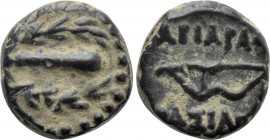 KINGS OF CAPPADOCIA. Ariarathes X Eusebes Philadelphos (42-36 BC). Ae. Eusebeia under Mt. Argaios.