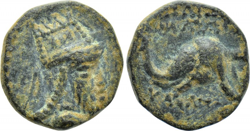 KINGS OF ARMENIA. Tigranes V (Circa 6-12). Ae. 

Obv: Head right, wearing Arme...