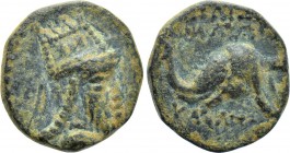 KINGS OF ARMENIA. Tigranes V (Circa 6-12). Ae.