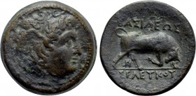 SELEUKID KINGDOM. Seleukos I Nikator (312-281 BC). Ae. Seleuceia on the Tigris II.