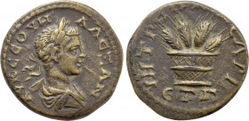CAPPADOCIA. Caesarea. Severus Alexander (222-235). Ae. Dated RY 3 (223/4).