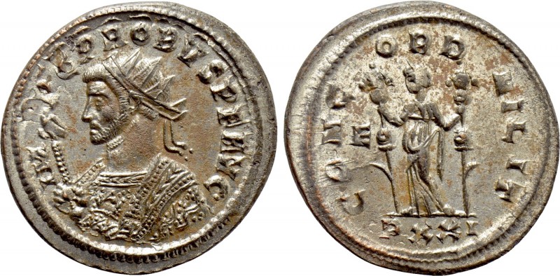 PROBUS (276-282). Antoninianus. Ticinum. 

Obv: IMP C M AVR PROBVS P F AVG. 
...