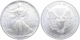 1995. Estados Unidos. 1 Dolar. Ag. SC. Est.30.