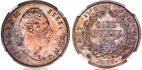 British India. William IV Prooflike Restrike Rupee 1835.-(c) PL65 NGC, Calcutta mint, KM450.3, S&W-1.43. Type D Obverse, Type IV Reverse, with F in re...
