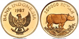Republic gold Proof "Javan Rhinoceros" 200000 Rupiah 1987 PF68 Ultra Cameo NGC, KM46. Mintage: 5,000. A low mintage World Wildlife Fund commemorative ...