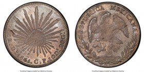 Republic 8 Reales 1861 Do-CP MS64 PCGS, Durango mint, KM377.4, DP-Do41 ("Scarce"). A near-gem and frosty representative of an elusive variety, boastin...
