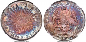 Republic 8 Reales 1896 Zs-FZ MS67 NGC, Zacatecas mint, KM377.13, DP-Zs82. An absolute stunner of an 8 Reales and the most attractive, flashy example t...
