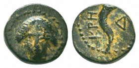 PISIDIA. Kremna. Ae (1st century BC).
Condition: Very Fine



Weight: 1.1 gr
Diameter: 10 mm