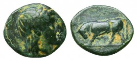 Greek Coins. Ae (1st century BC).
Condition: Very Fine



Weight: 0.8 gr
Diameter: 9 mm